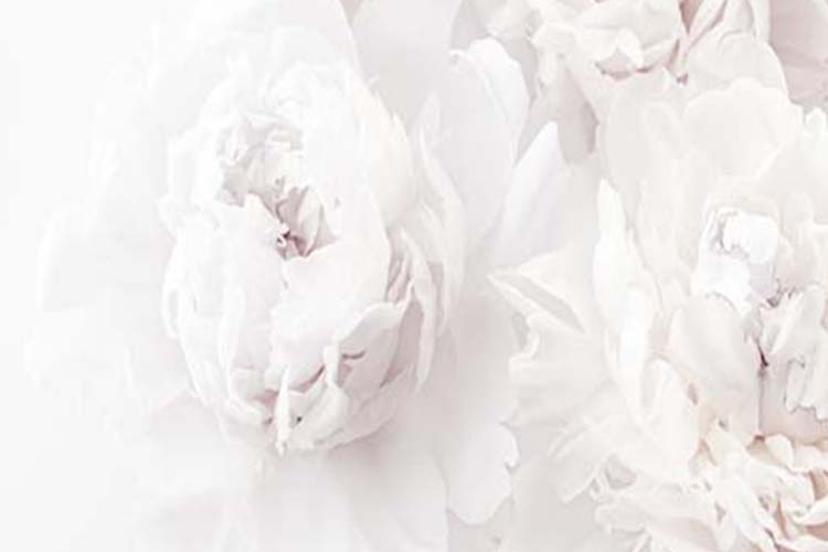 デザイン写真5になります。