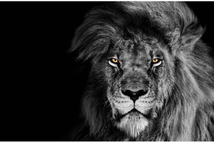 デザイン写真6になります。